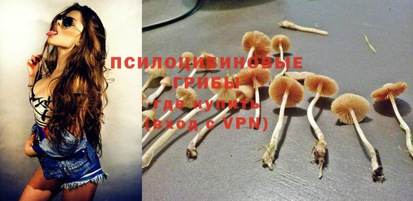 герыч Арсеньев