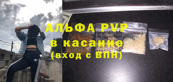 амф Аркадак