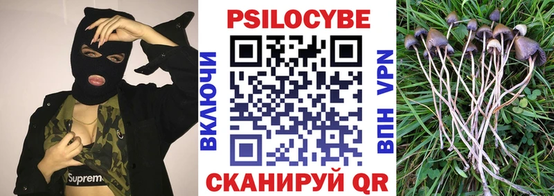 Псилоцибиновые грибы GOLDEN TEACHER kraken Ярцево закладка